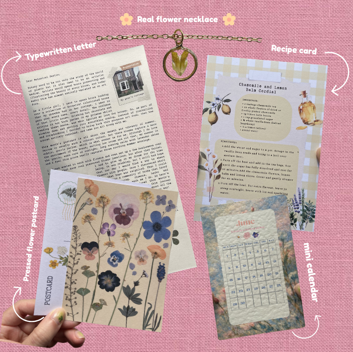 Monthly Snail Mail Subscription